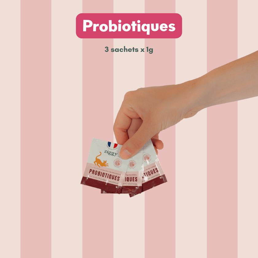 Contenu du Coffret digestion pour chat Ziggy - croquettes et pâtées pour chat adulte stérilisé, probiotiques pour chat et litière