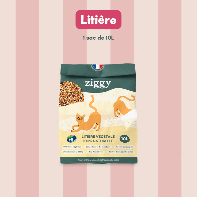 Contenu du Coffret digestion pour chat Ziggy - croquettes et pâtées pour chat adulte stérilisé, probiotiques pour chat et litière