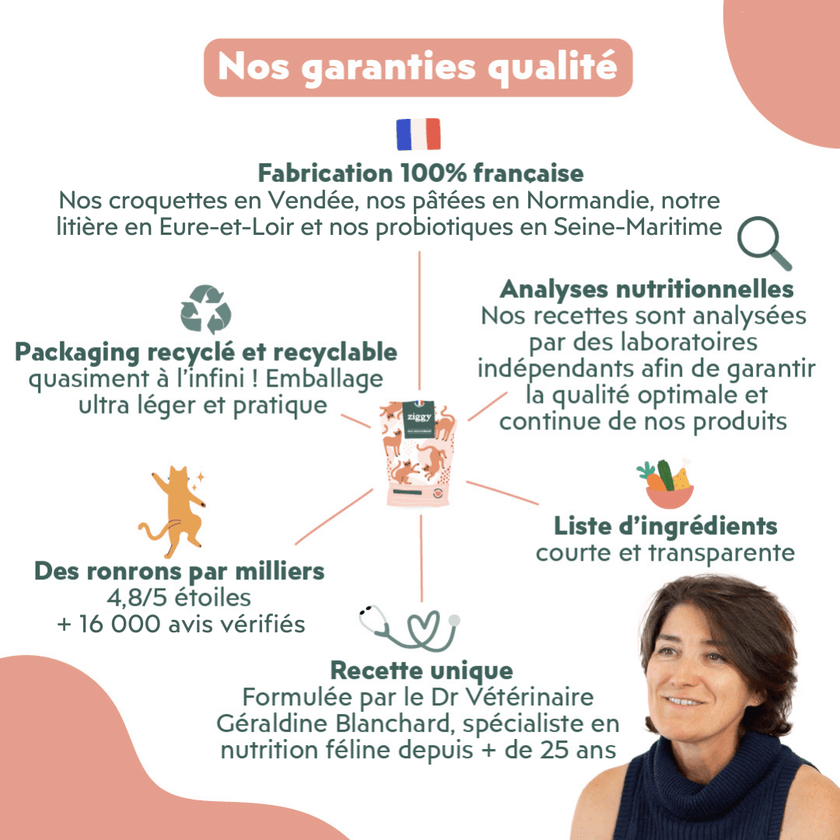 Contenu du Coffret digestion pour chat Ziggy - croquettes et pâtées pour chat adulte stérilisé, probiotiques pour chat et litière