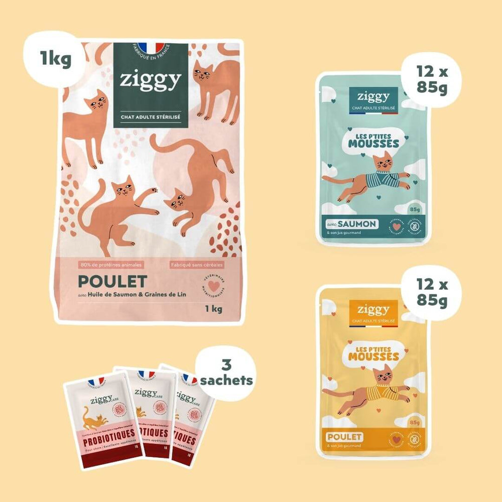 Coffret Mousses - Chat Adulte