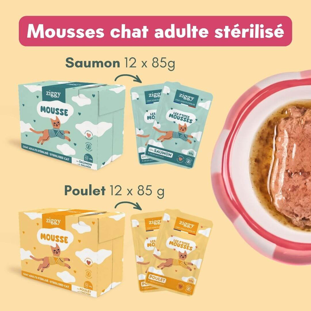 Coffret Mousses - Chat Adulte