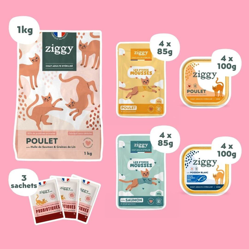 Coffret Ronrons Party - Chat Adulte