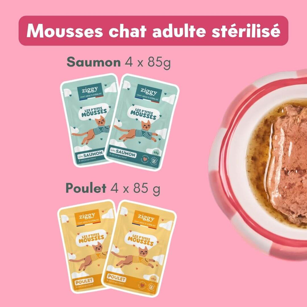 Coffret Ronrons Party - Chat Adulte