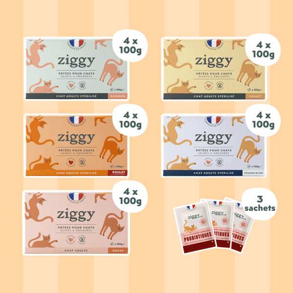 Coffret Découverte 5 Pâtées pour chat adulte stérilisé Ziggy