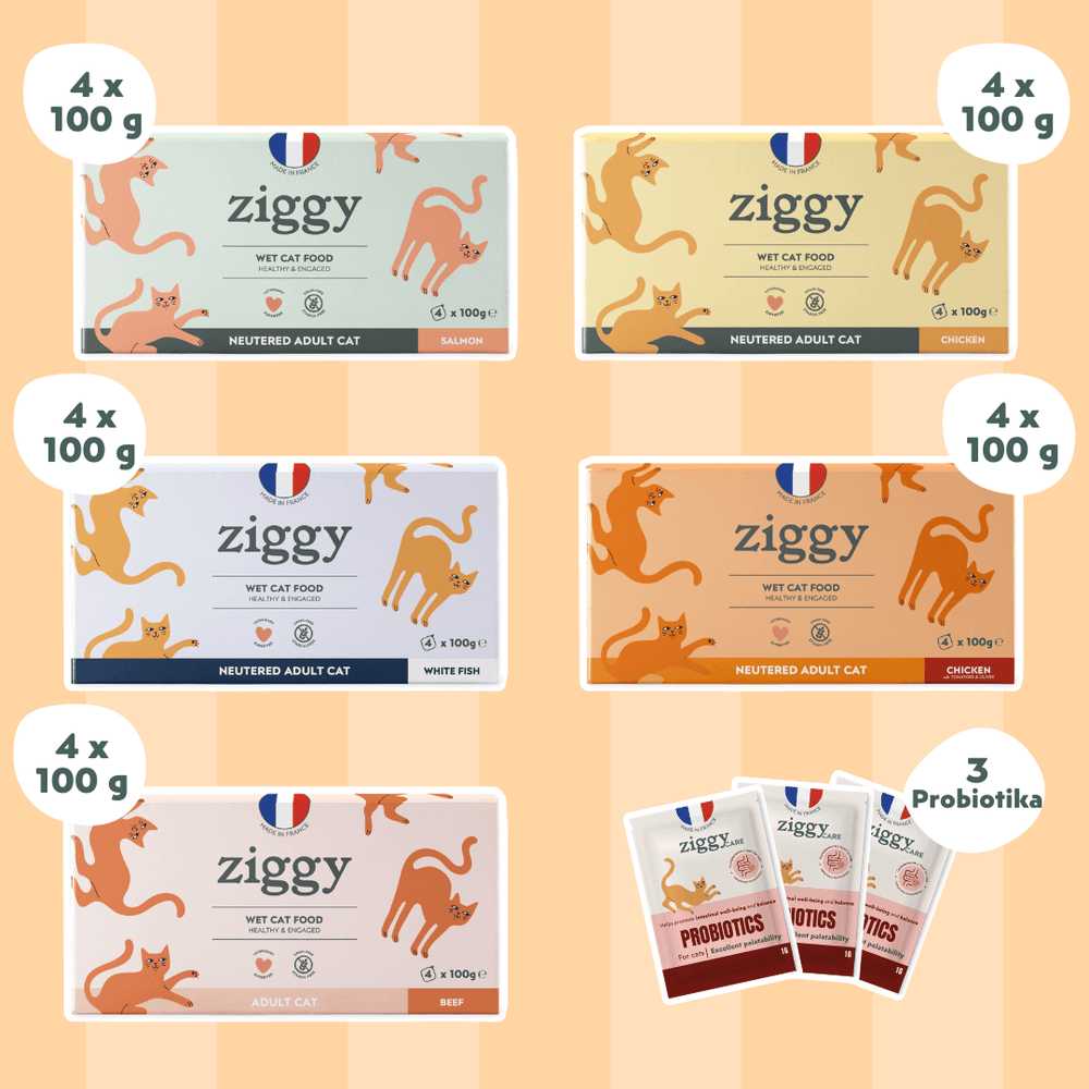 Coffret Découverte 5 Pâtées pour chat adulte stérilisé Ziggy
