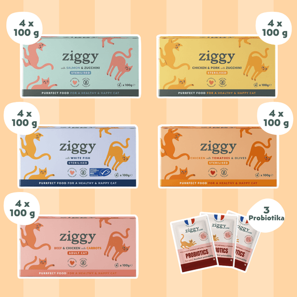 Coffret Découverte 5 Pâtées pour chat adulte stérilisé Ziggy