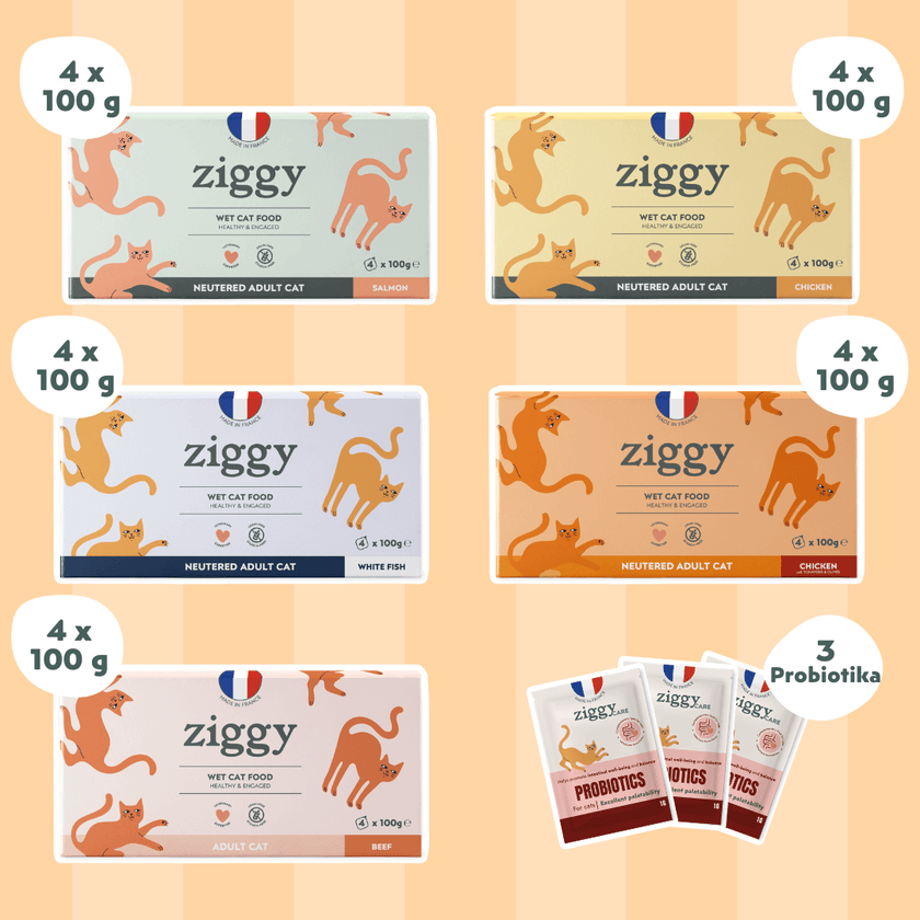 Entdeckungsset mit 5 Pasteten für sterilisierte erwachsene Katzen von Ziggy