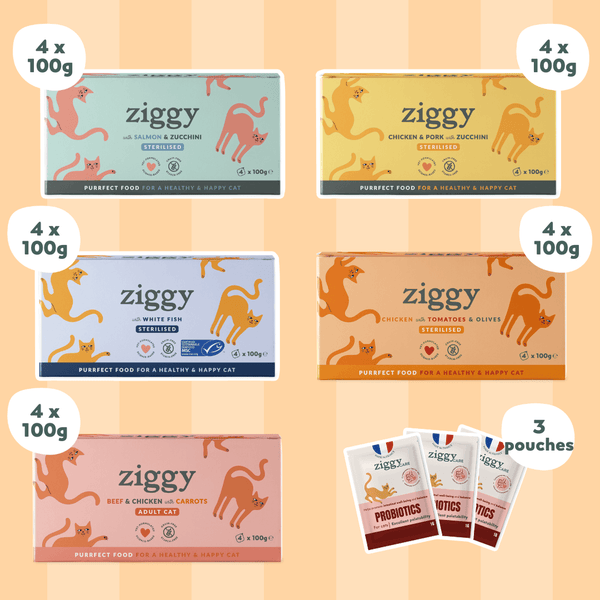 Coffret Découverte 5 Pâtées pour chat adulte stérilisé Ziggy