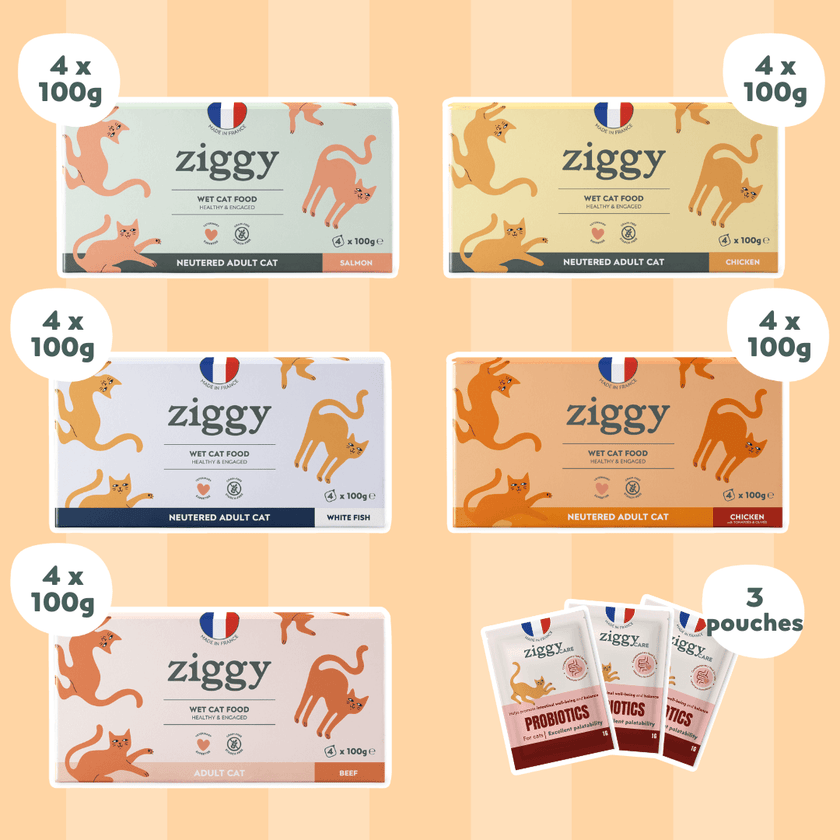 Ziggy Discovery Box for sterilized adult cats