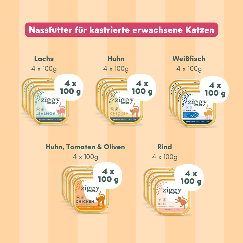 Entdeckungsset mit 5 Pasteten für sterilisierte erwachsene Katzen von Ziggy