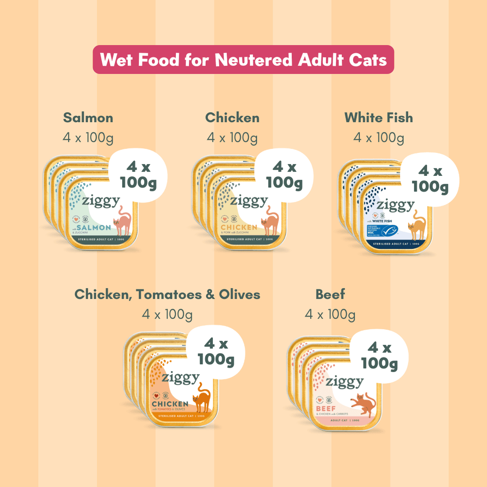 Coffret Découverte 5 Pâtées pour chat adulte stérilisé Ziggy