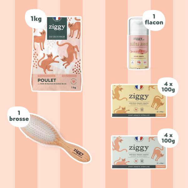Contenu du coffret Pelage pour chat adulte stérilisé de la marque Ziggy qui comprend des croquettes et pâtées pour chat adulte stérilisé, une brosse pour chat et un flacon d'huile de poisson et d'algues pour chat
