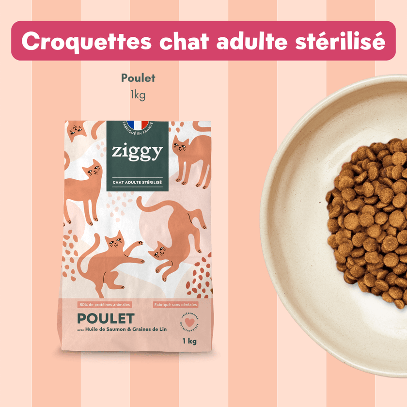 Contenu du coffret Pelage pour chat adulte stérilisé de la marque Ziggy qui comprend des croquettes et pâtées pour chat adulte stérilisé, une brosse pour chat et un flacon d'huile de poisson et d'algues pour chat