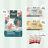 Composition du coffret pour chat adulte stérilisé Ziggy alimentation pour chat saine et sans céréales