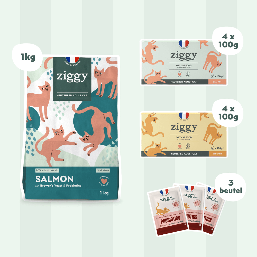 Composition du coffret pour chat adulte stérilisé Ziggy alimentation pour chat saine et sans céréales