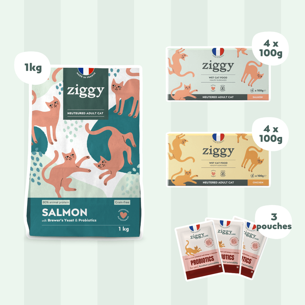 Composition du coffret pour chat adulte stérilisé Ziggy alimentation pour chat saine et sans céréales