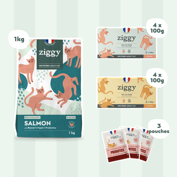 Composition du coffret pour chat adulte stérilisé Ziggy alimentation pour chat saine et sans céréales