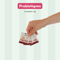 Composition du coffret découverte pour chat adulte stérilisé Ziggy comprenant des croquettes et pâtées pour chat adulte stérilisé ainsi que des probiotiques pour chat