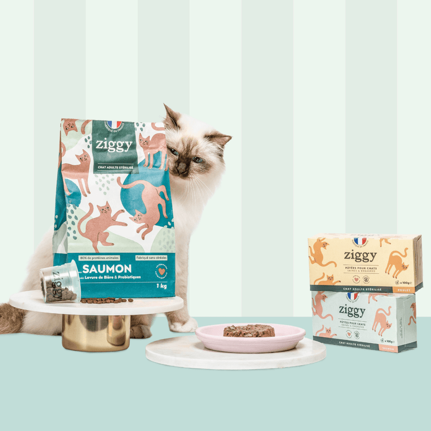 Composition du coffret découverte pour chat adulte stérilisé Ziggy comprenant des croquettes et pâtées pour chat adulte stérilisé ainsi que des probiotiques pour chat