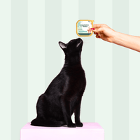 Composition du coffret découverte pour chat adulte stérilisé Ziggy comprenant des croquettes et pâtées pour chat adulte stérilisé ainsi que des probiotiques pour chat