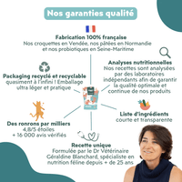 Composition du coffret découverte pour chat adulte stérilisé Ziggy comprenant des croquettes et pâtées pour chat adulte stérilisé ainsi que des probiotiques pour chat