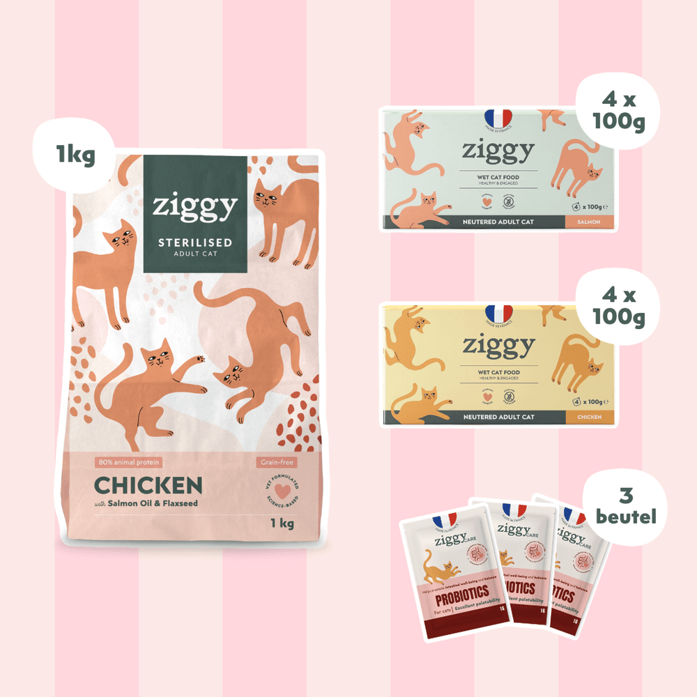 Composition du coffret pour chat adulte stérilisé Ziggy alimentation pour chat saine et sans céréales