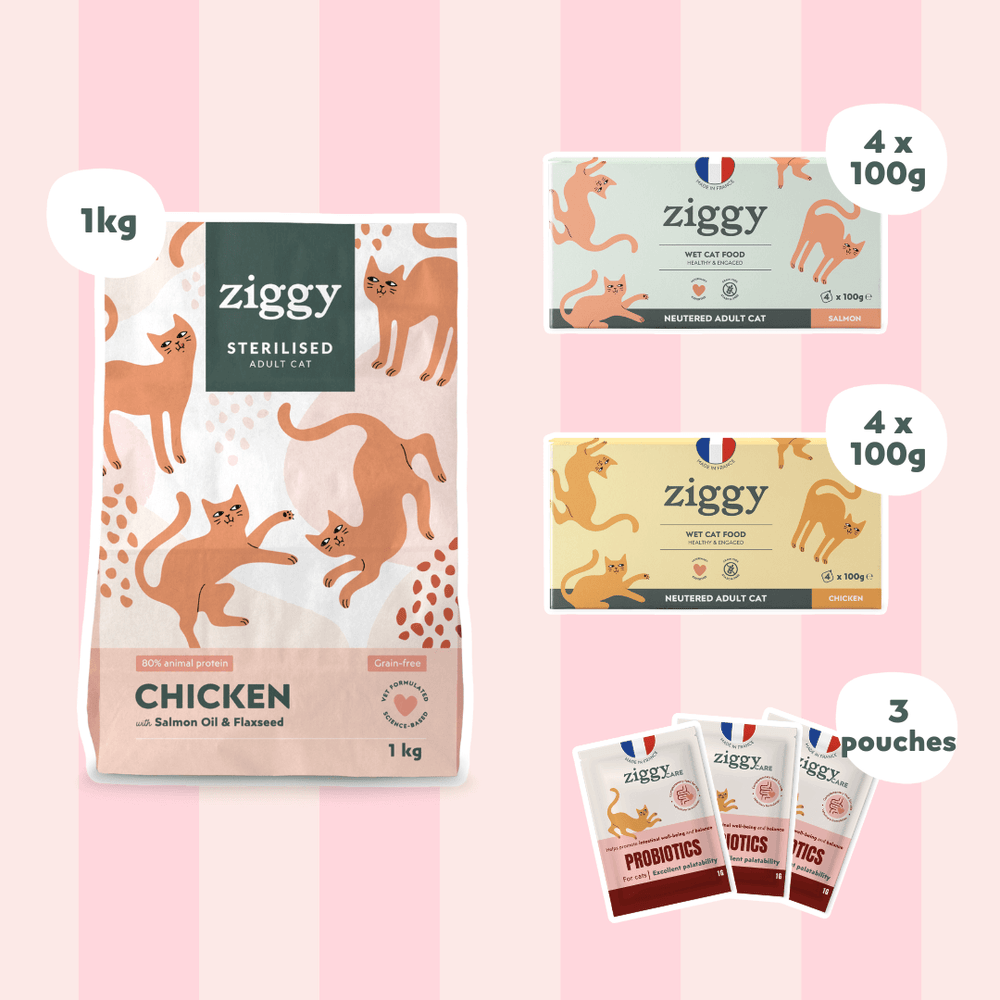 Composition du coffret pour chat adulte stérilisé Ziggy alimentation pour chat saine et sans céréales