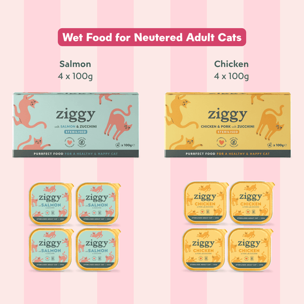 Coffret découverte chat adulte stérilisé