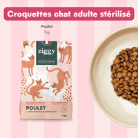 Coffret découverte chat adulte stérilisé