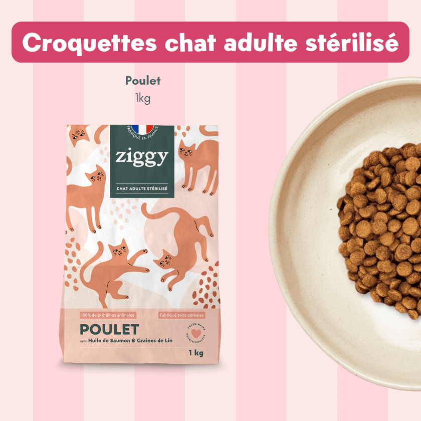 Coffret découverte chat adulte stérilisé