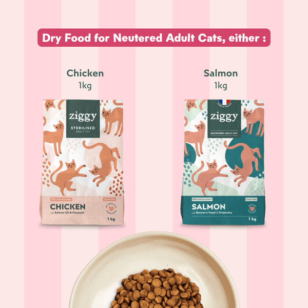 Coffret découverte chat adulte stérilisé