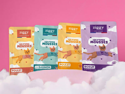 Collection de mousses Ziggy pour chat : les quatre sachets de la gamme, au saumon, au poulet et au bœuf