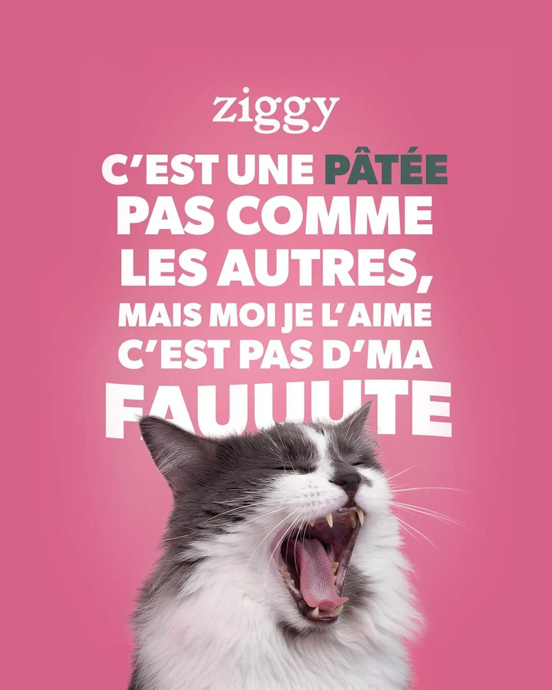Campagne de communication Ziggy participe aux concerts de Céline Dion à Paris - Ziggy c'est une pâtée pas comme les autres, mais moi je l'aime c'est pas d'ma faute
