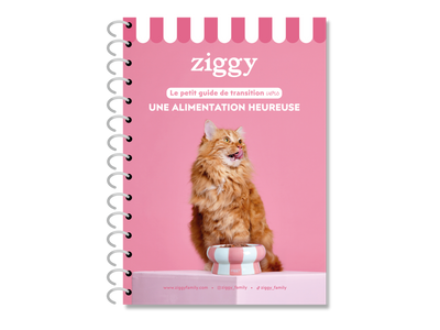 Le guide de la transition alimentaire