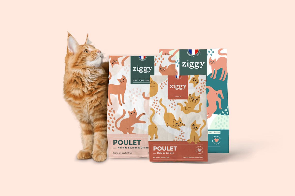 croquettes pour chat sans céréales Ziggy 