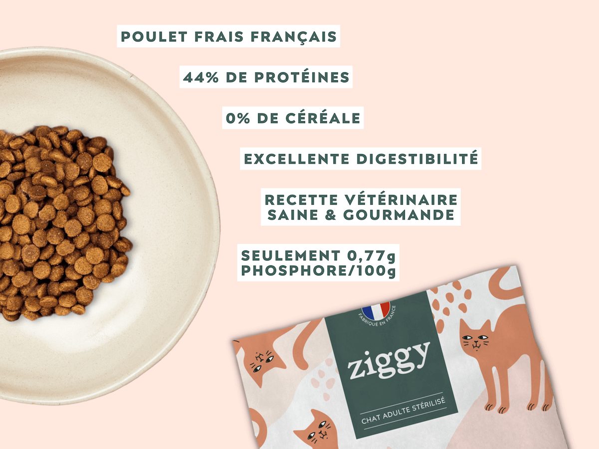 Composition des croquettes au poulet sans céréales pour chat adulte stérilisé Ziggy