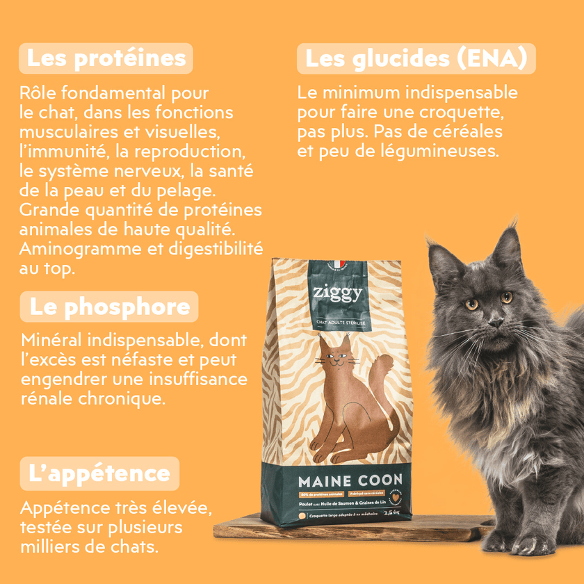 Composition des croquettes Ziggy pour chat adulte stérilisé Maine Coon au poulet, saine et sans céréales