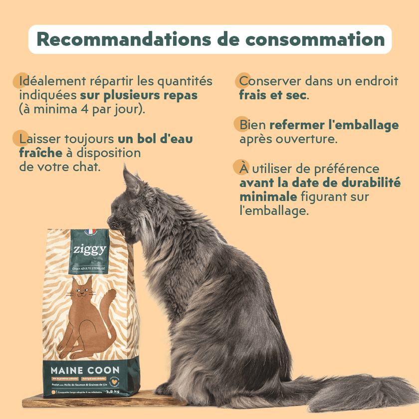 Recommandations de consommation des croquettes Ziggy pour chat adulte stérilisé Maine Coon au poulet, saine et sans céréales