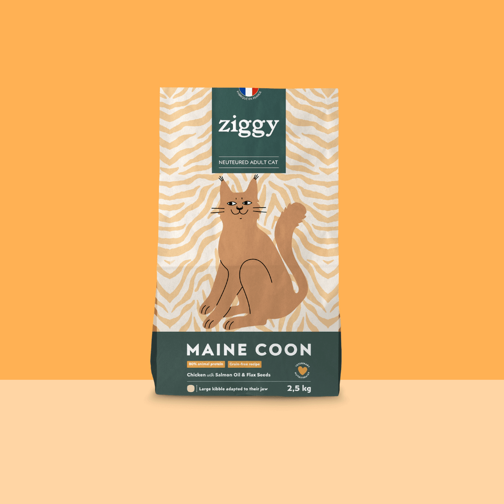 Sachet de 2,5kg de croquettes Ziggy pour chat adulte Maine Coon au poulet, saines et sans céréales