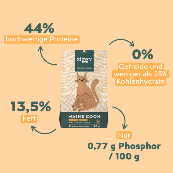 Ingrédients des croquettes Ziggy pour chat adulte stérilisé Maine Coon au poulet, saine et sans céréales