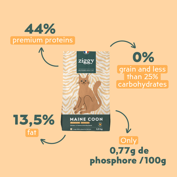 Ingrédients des croquettes Ziggy pour chat adulte stérilisé Maine Coon au poulet, saine et sans céréales