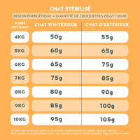 Quantité par jour à donner à son chat Maine Coon de croquettes Ziggy, saines et sans céréales, en fonction de son besoin énergétique