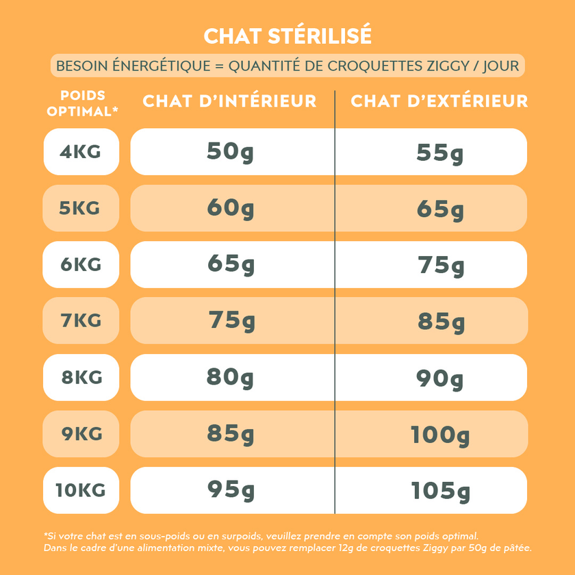Quantité par jour à donner à son chat Maine Coon de croquettes Ziggy, saines et sans céréales, en fonction de son besoin énergétique