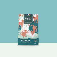 Paquet de 1kg de croquettes Ziggy pour chat adulte stérilisé au saumon, saines et sans céréales