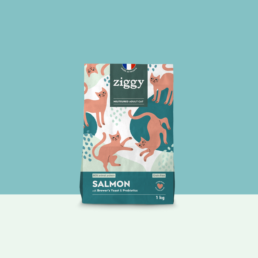 Paquet de 1kg de croquettes Ziggy pour chat adulte stérilisé au saumon, saines et sans céréales