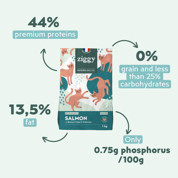 Ingrédients des croquettes pour chat adulte stérilisé au saumon, saines, à base d'ingrédients naturelles et sans céréales