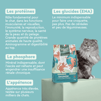 Composition des croquettes pour chat adulte stérilisé au saumon, saines, à base d'ingrédients naturelles et sans céréales