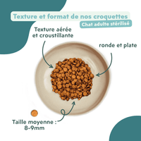 Texture et format des croquettes pour chat adulte stérilisé au saumon, saines, à base d'ingrédients naturelles et sans céréales