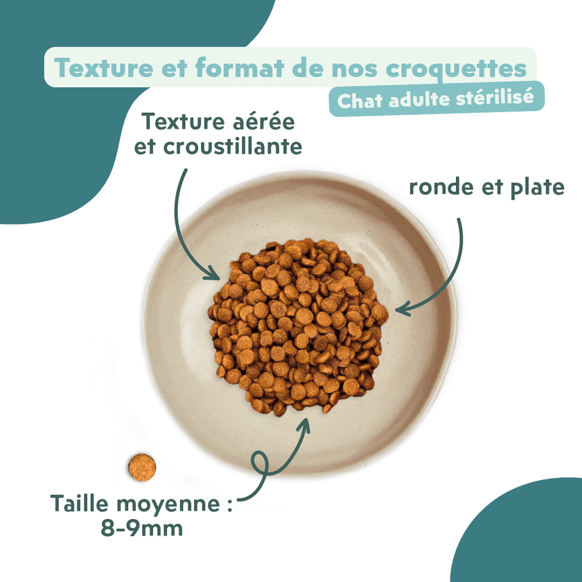 Texture et format des croquettes pour chat adulte stérilisé au saumon, saines, à base d'ingrédients naturelles et sans céréales