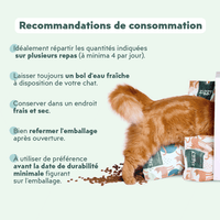 Recommandations de consommation des croquettes pour chat adulte stérilisé au saumon, saines, à base d'ingrédients naturelles et sans céréales
